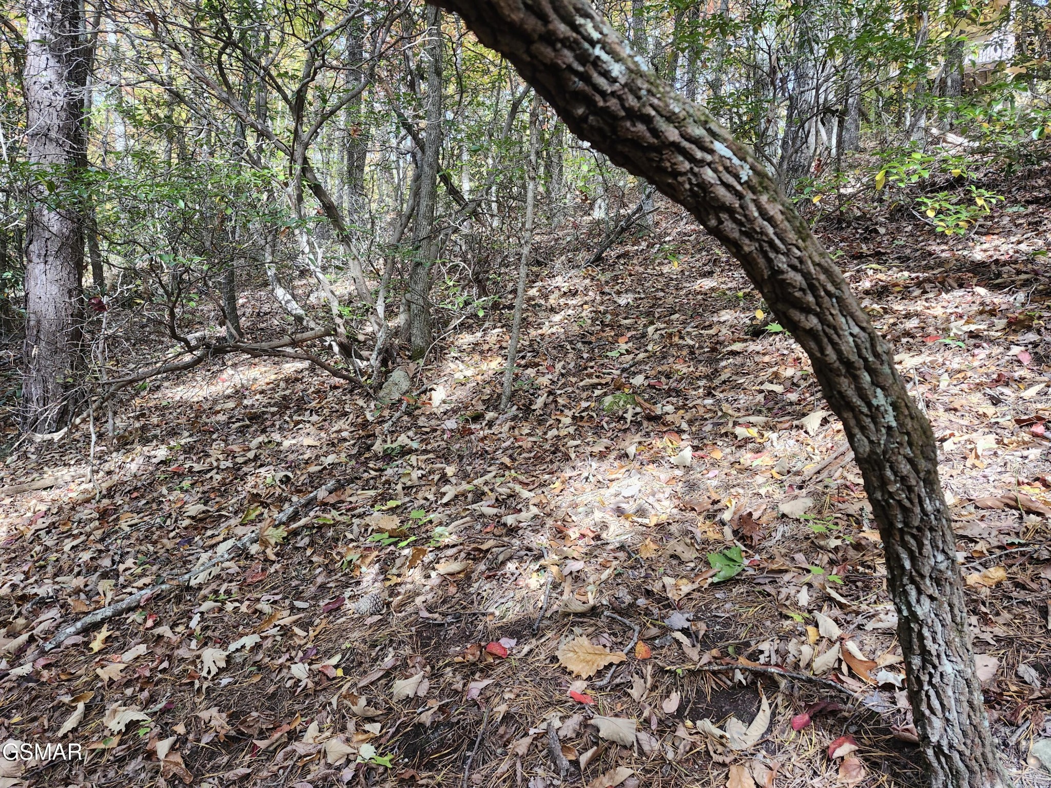 Land in Sevierville 5