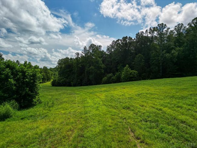 0 Allens Creek Rd, Home with 0 bedrooms, 0 bathrooms and null parking in GLADSTONE VA | Image 17