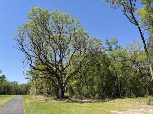 Irvine Acres #5 (13ac) W Hwy 318, REDDICK, FL, 32686 | Card Image