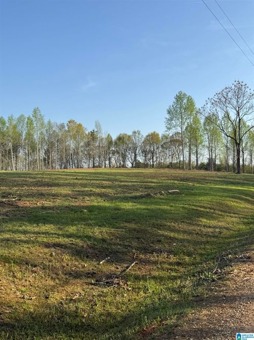 2-17+/- Acres Peace Of Mind Drive, Lineville, AL, 36266 | Card Image