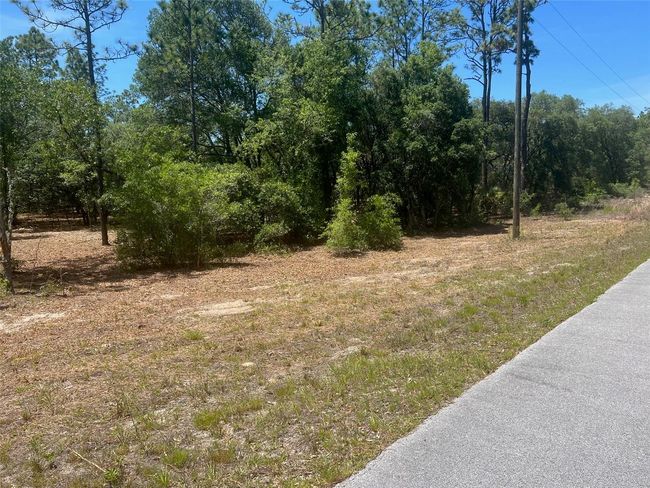 00 Sw Wood Road, Home with 0 bedrooms, 0 bathrooms and null parking in Dunnellon FL | Image 6