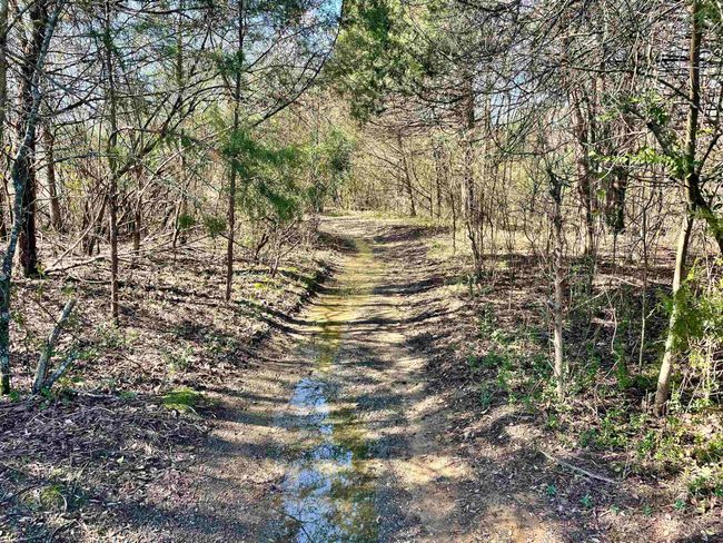 000 Brewer Rd, Home with 0 bedrooms, 0 bathrooms and null parking in Conway AR | Image 19