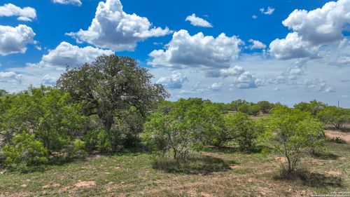 255 County Road 477, Stockdale, TX, 78160-7010 | Card Image