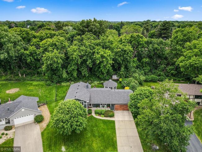 Great tree coverage for privacy | Image 47