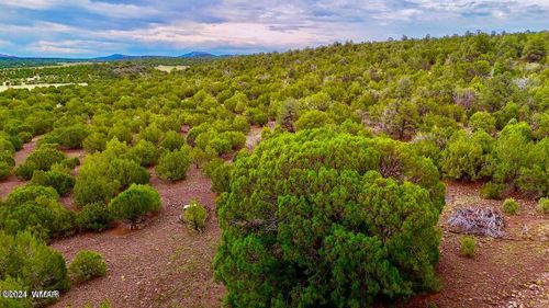 TBD N3218 37 Acres, Vernon, AZ, 85940 | Card Image