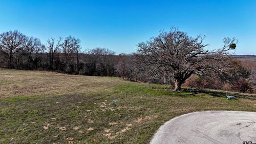 Lot 262 High Point Ct, Athens, TX, 75752 | Card Image