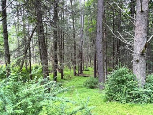 131 Old Plank Rd, Sparrow Bush, NY, 12780-5022 | Card Image