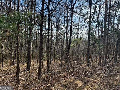 1604-0 Scarlet Pippin Ct, Clarkesville, GA, 30523 | Card Image
