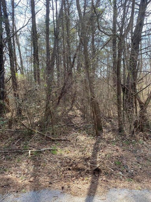 1057 Palisades Ct, Burnside, KY, 42519 | Card Image