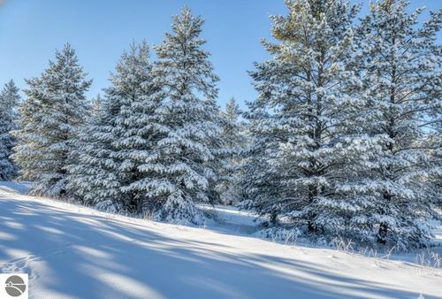 20.71 Spruce Hollow Trce, Fife Lake, MI, 49633 | Card Image