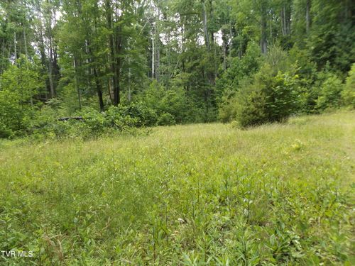 lot-5-709 Heartwood Ln, Butler, TN, 37640-5924 | Card Image
