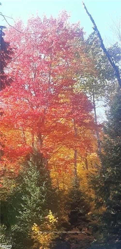 1094 Stoney Rd, Burks Falls, ON, P0A1C0 | Card Image