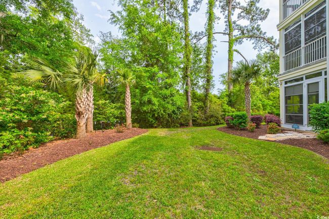 View of yard | Image 35