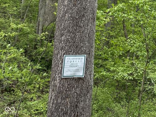 0000 N Briarhopper Rd, Monrovia, IN, 46157 | Card Image