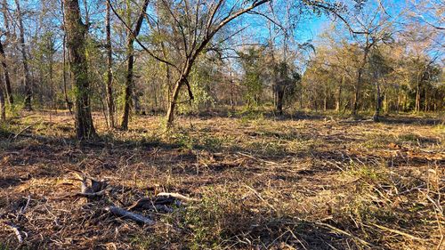 18503 Derrick Rd, Navasota, TX, 77868 | Card Image
