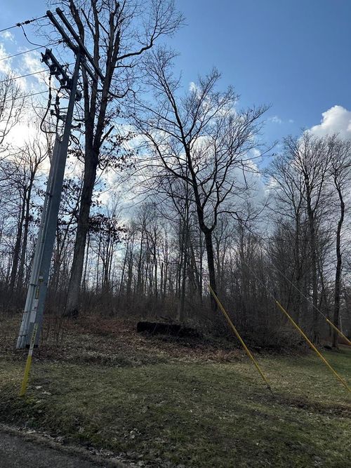 12651 Grant Rd, Howard, OH, 43028 | Card Image