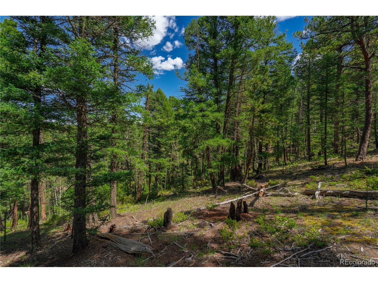 Land in Florissant 5