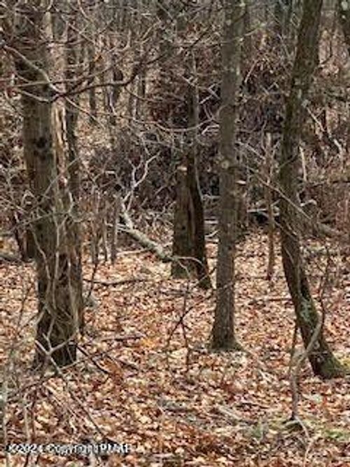 00 Pine Creek Rd, Hawley, PA, 18428 | Card Image