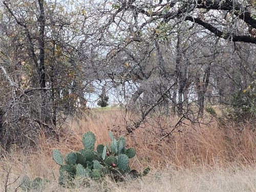 0 Peg Leg Ln, Buchanan Dam, TX, 78609 | Card Image