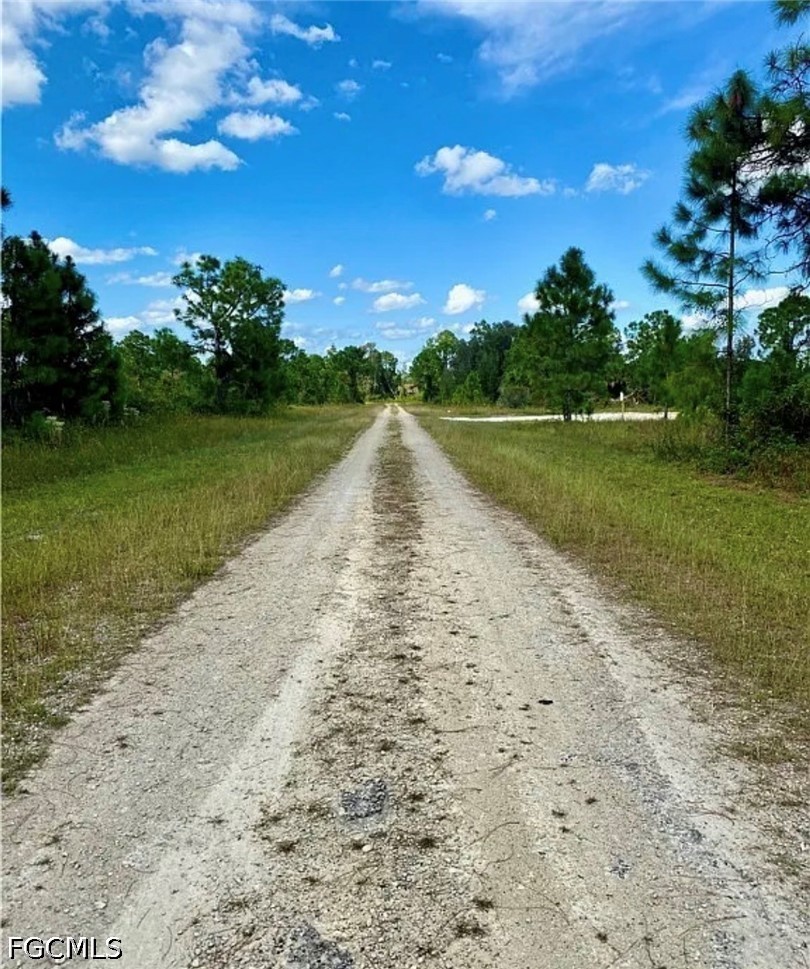 Land in Lehigh Acres 4