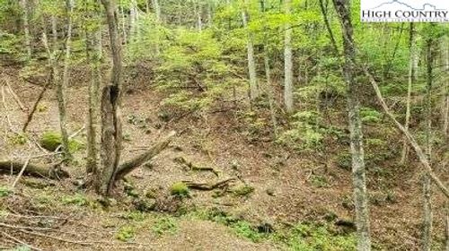 Fall Creek Meadows Fall Creek Meadows Lane, Elk Park, NC, 28622 | Card Image