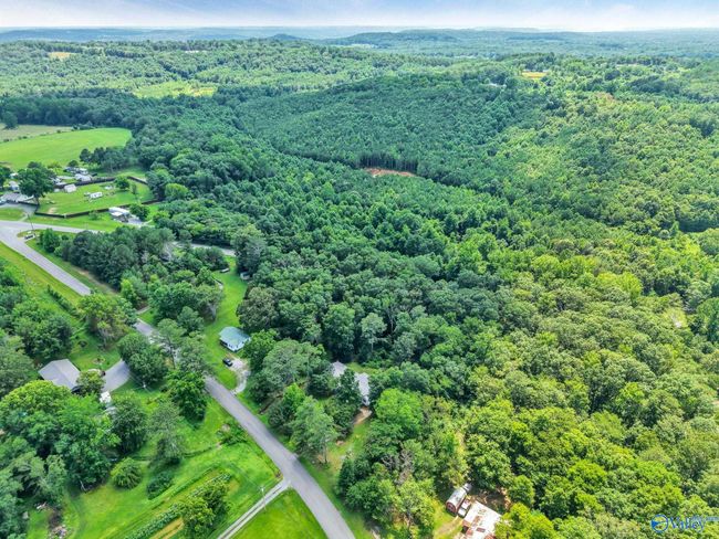 173 Brock Chapel Rd, House other with 4 bedrooms, 2 bathrooms and null parking in Union Grove AL | Image 39