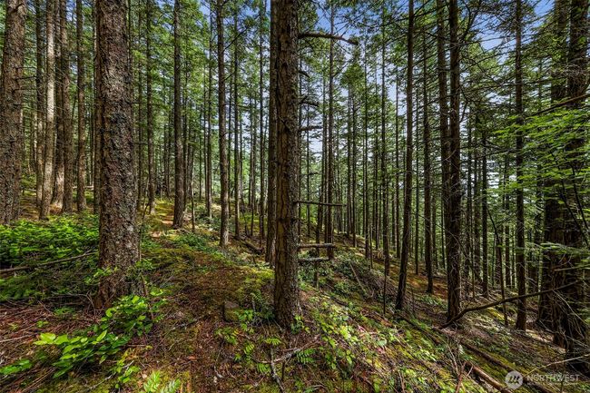3073 Hales Passage Dr, Home with 0 bedrooms, 0 bathrooms and null parking in Lummi Island WA | Image 9