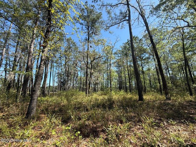18 Davis Ln, Home with 0 bedrooms, 0 bathrooms and null parking in Belhaven NC | Image 14