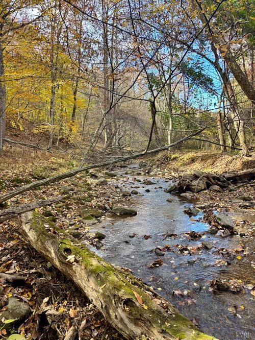 0 Buck Hollow Rd, Amherst, VA, 24521 | Card Image