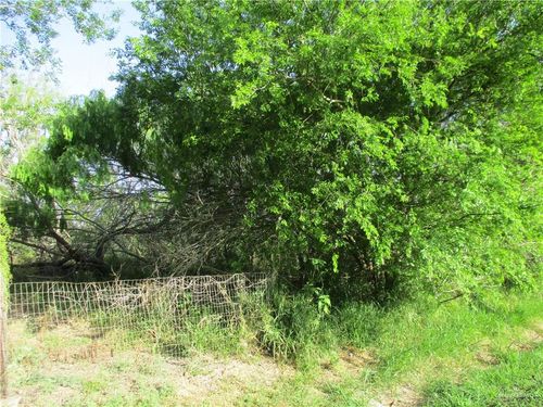 0 Cantu Rd, Santa Rosa, TX, 78593 | Card Image