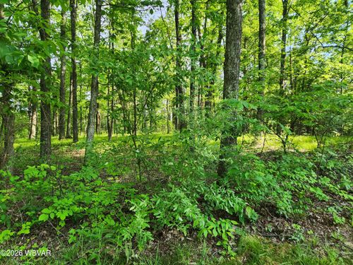 lot-79-PARCEL 279 Oak St, Muncy Valley, PA, 17758 | Card Image