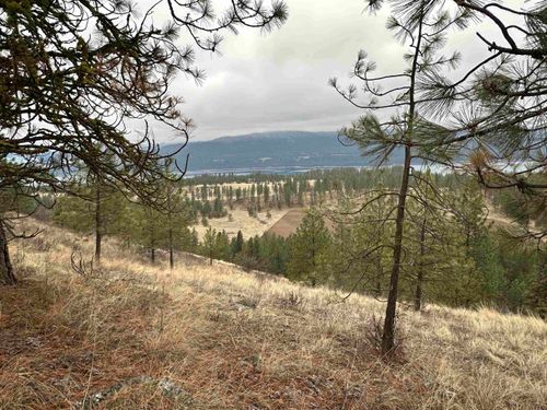 3250 Daisy Mine Rd, Rice, WA, 99167-9746 | Card Image