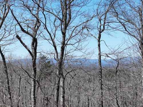 58 St Andrews Way, Ellijay, GA, 30536 | Card Image