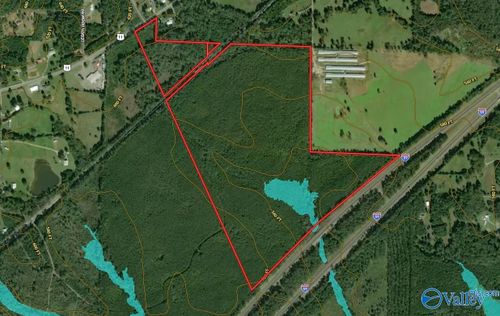 110 acres Highway 11, Ashville, AL, 35953 | Card Image