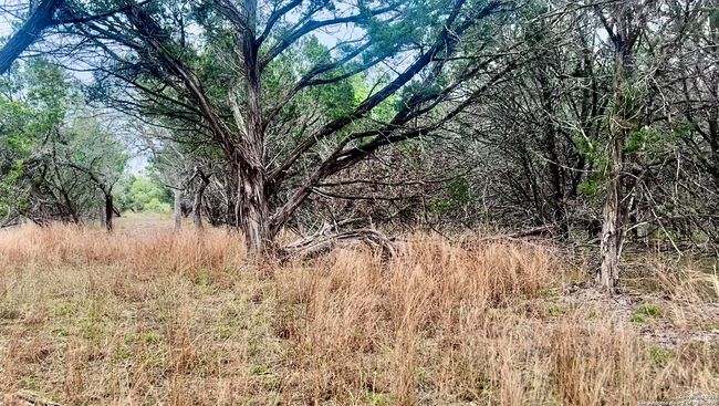 0 Creekside At Camp Verde Phase 2 Lot 151, Home with 0 bedrooms, 0 bathrooms and null parking in Center Point TX | Image 5