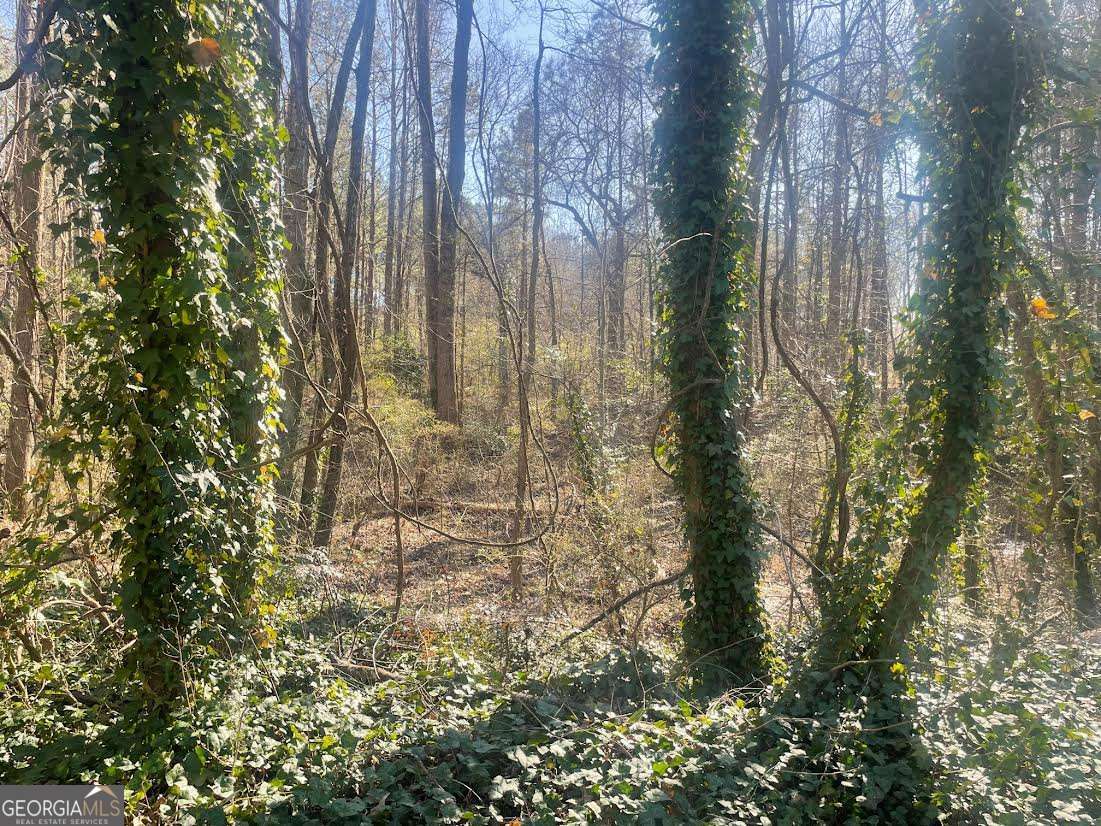 Land in Jonesboro 4