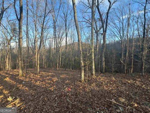 LOT 55 Teel Mountain Dr, Cleveland, GA, 30528-0717 | Card Image