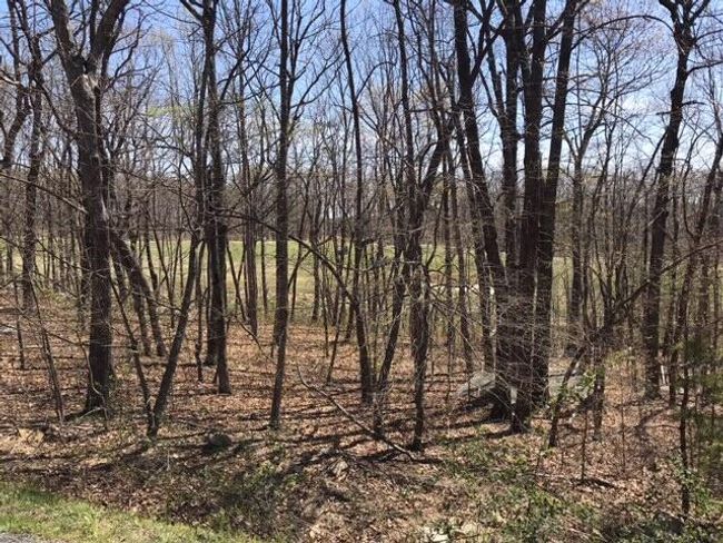 0 Old Rockey Trl, Home with 0 bedrooms, 0 bathrooms and null parking in Rising Fawn GA | Image 41