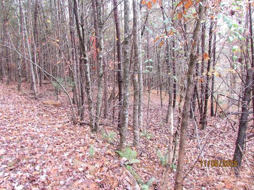 Tract 5 Wikle Road, Hayesville, NC, 28904 | Card Image