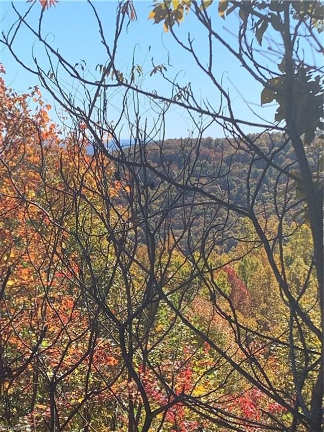 Lot 9 Falcon Ridge Dr, Home with 0 bedrooms, 0 bathrooms and null parking in Moravian Falls NC | Image 9