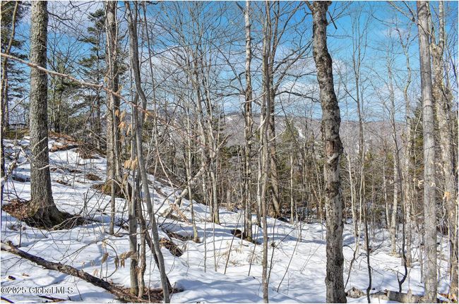 48 Durkin Rd, Home with 0 bedrooms, 0 bathrooms and null parking in North Creek NY | Image 51