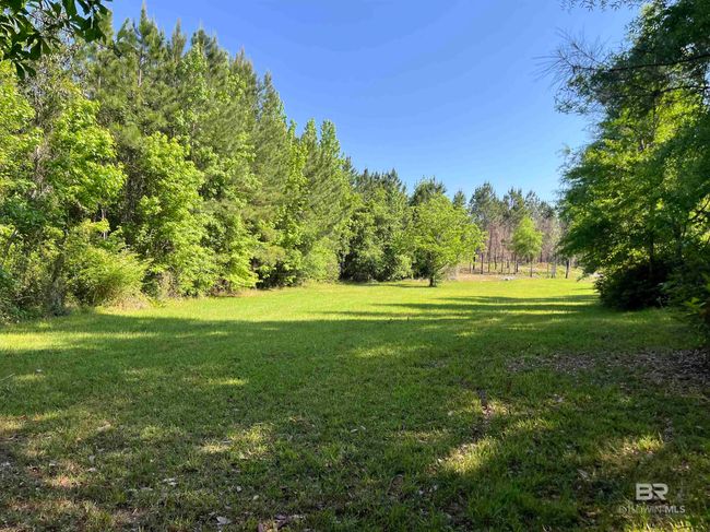 Yard | Image 10