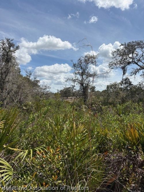 205 Orange St, LAKE PLACID, FL, 33852 | Card Image