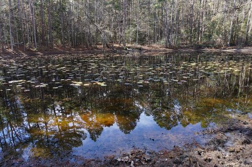 0 An County Road 352, Palestine, TX, 75803 | Card Image