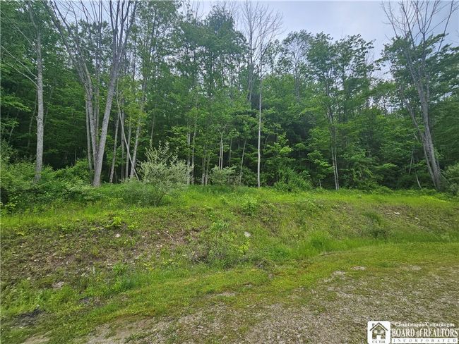 3937 Mcmahon Rd, House other with 3 bedrooms, 2 bathrooms and null parking in Hinsdale NY | Image 12