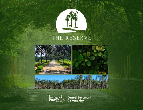 Lot 7 Bay, Freeport, FL, 32439 | Card Image