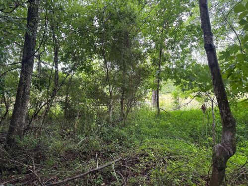7 Sawmill Rd, Palmer, TN, 37365 | Card Image