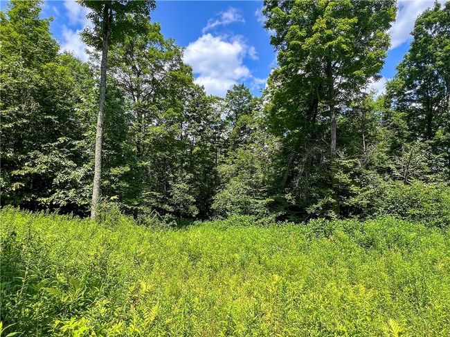 22+ Acres | Image 30