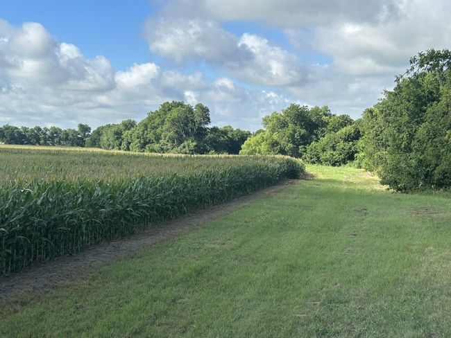 View of green lawn with a view of countryside | Image 4