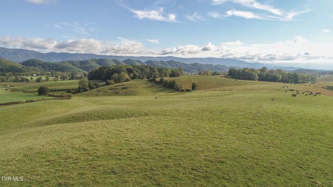LOT-12 - Tbd Highway 44, Home with 0 bedrooms, 0 bathrooms and null parking in Bristol TN | Image 20